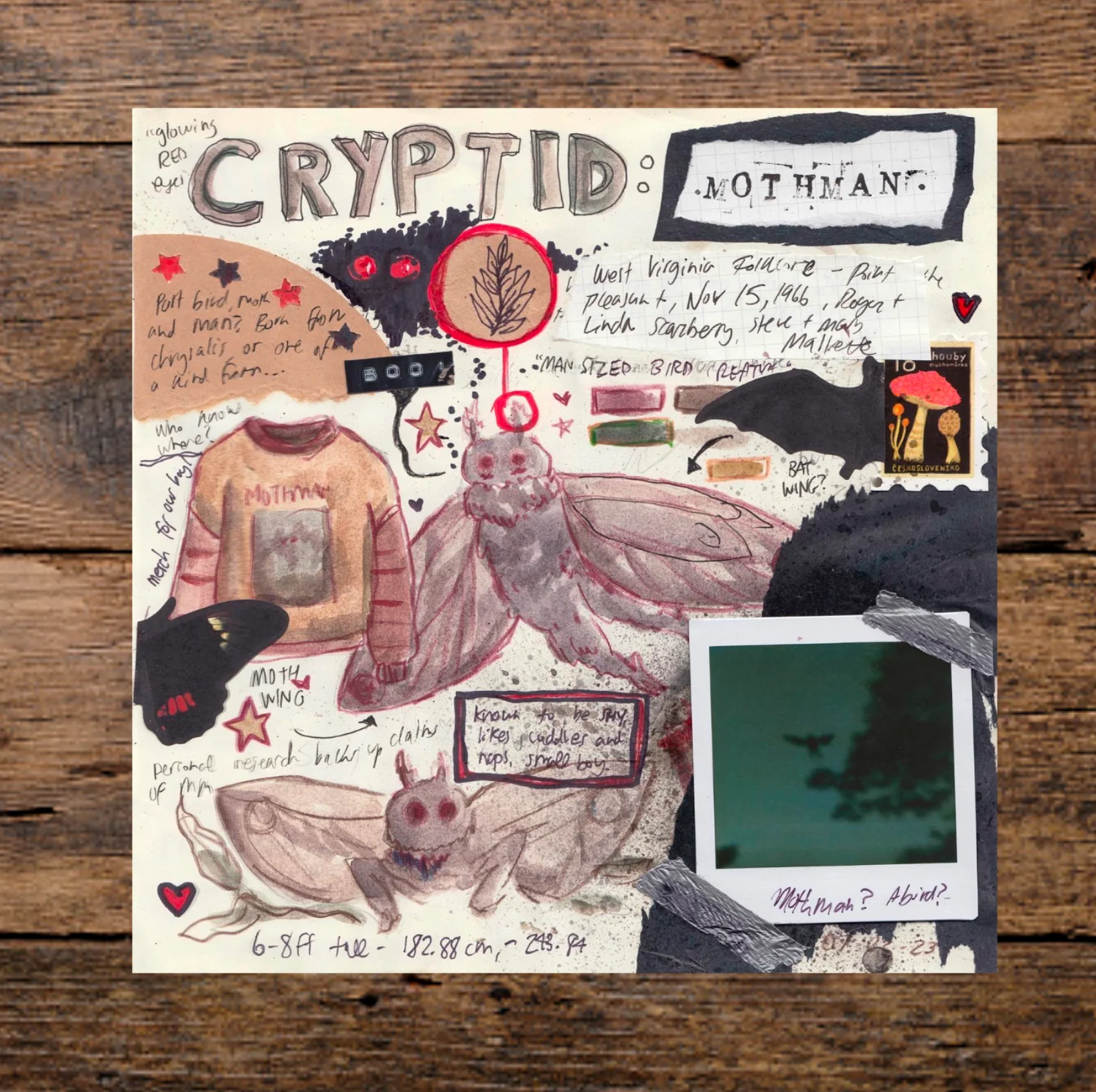 Camp Print Pack (x5) - Image 3