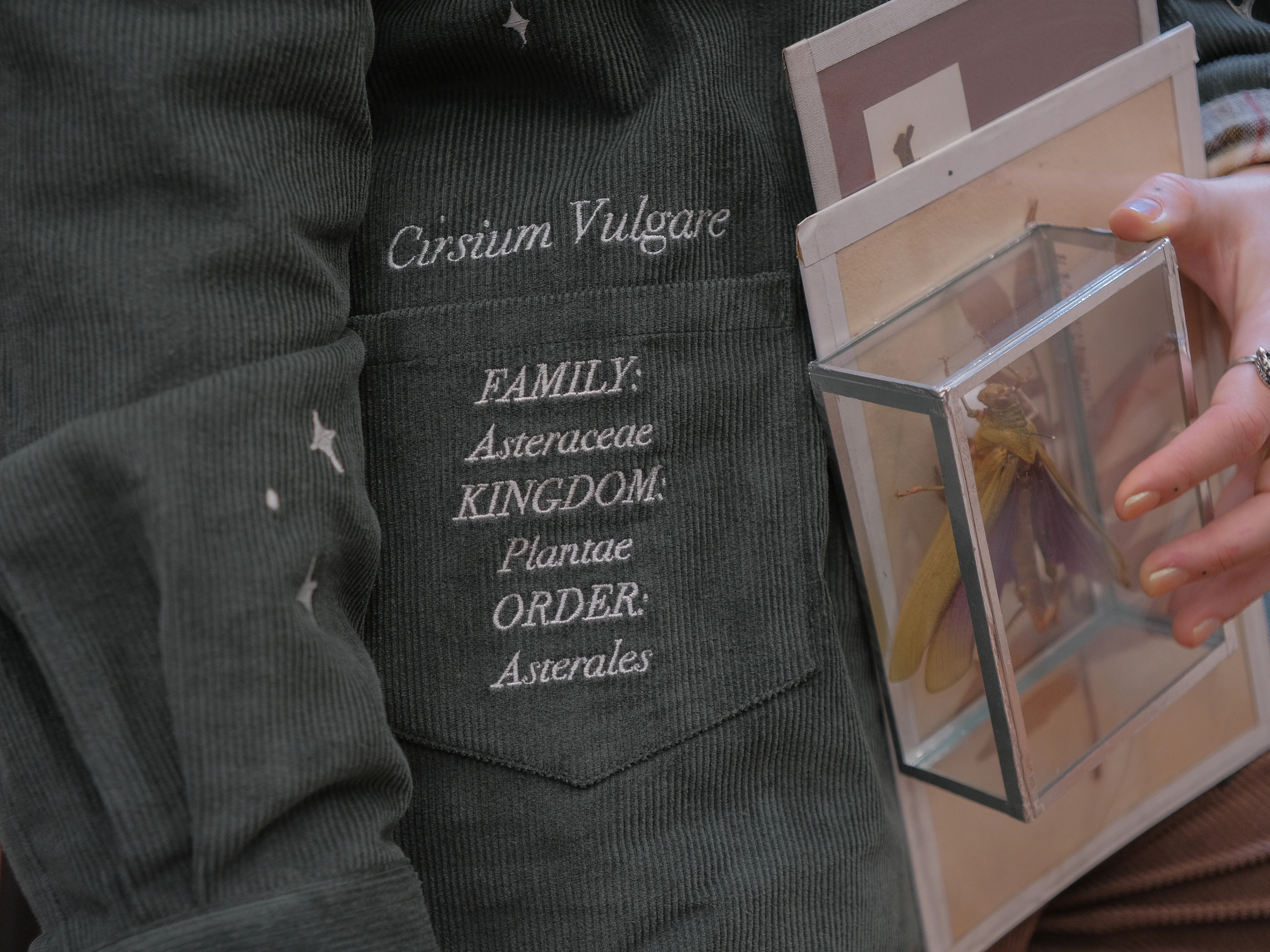 Common Thistle // The Botanist's Journal Jacket - Image 5