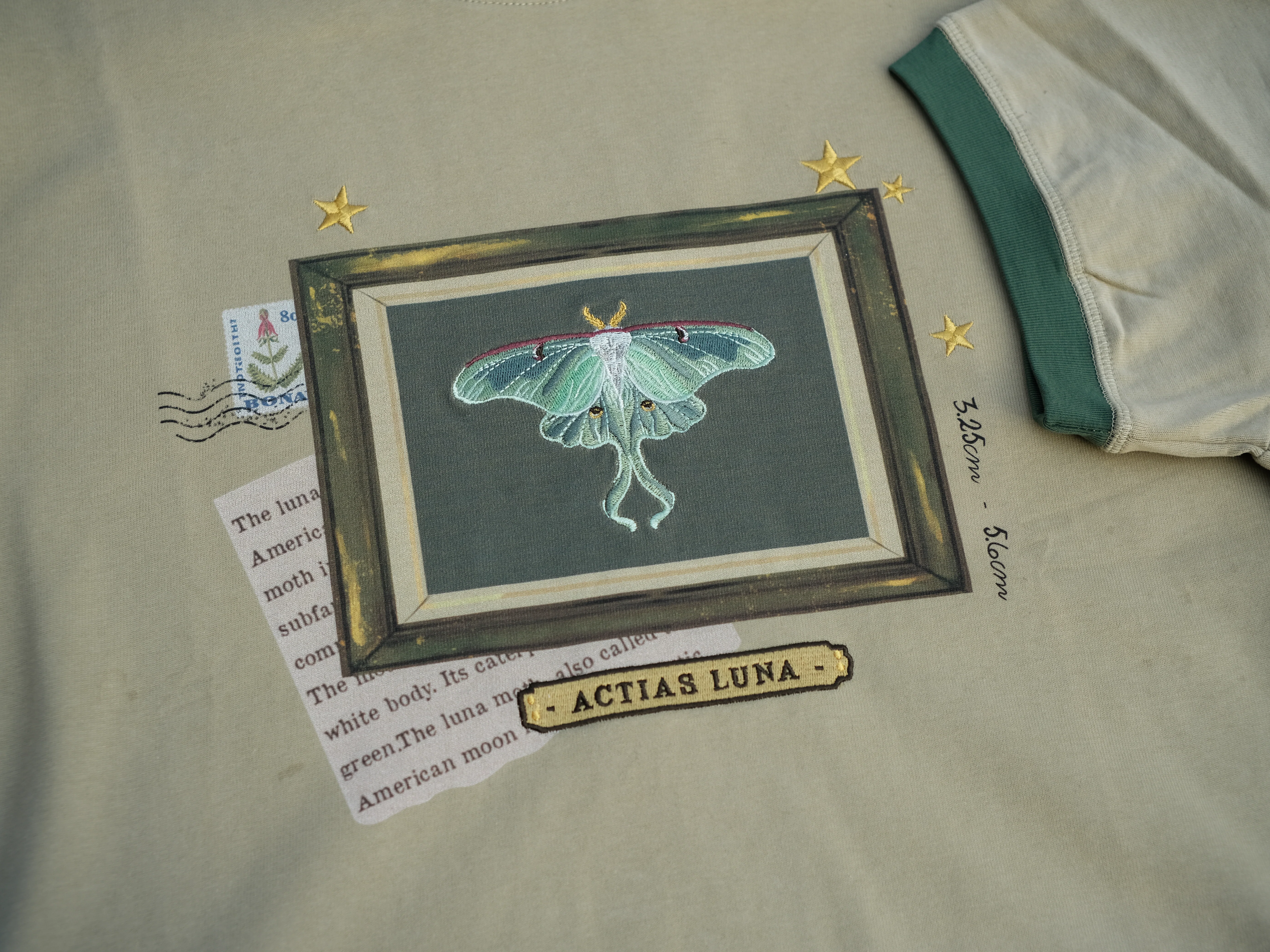 Luna Moth // Framed Specimen Tee (Heavy-weight) - Image 6