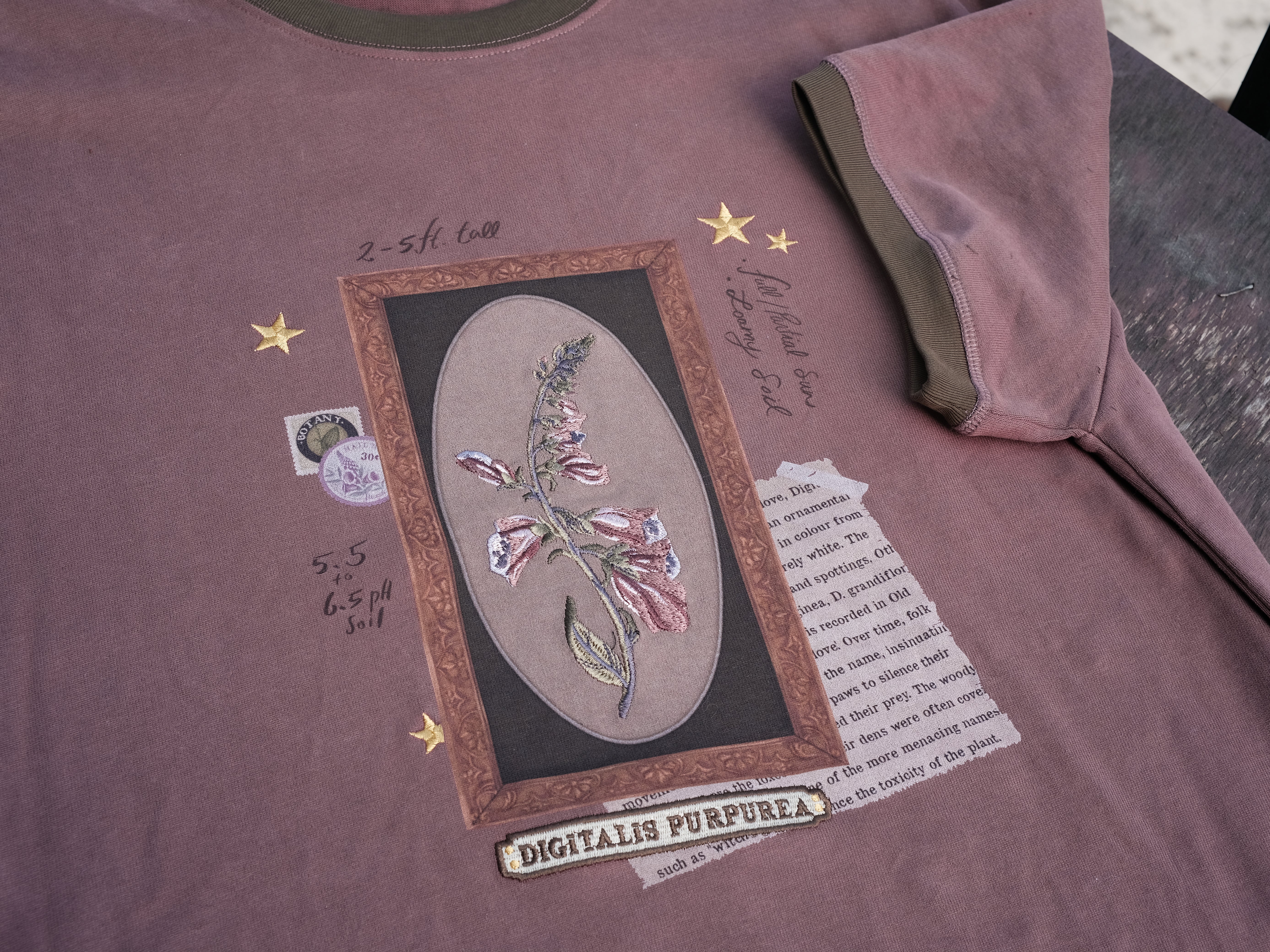 Purple Foxglove // Framed Specimen Tee (Heavy-weight) - Image 3