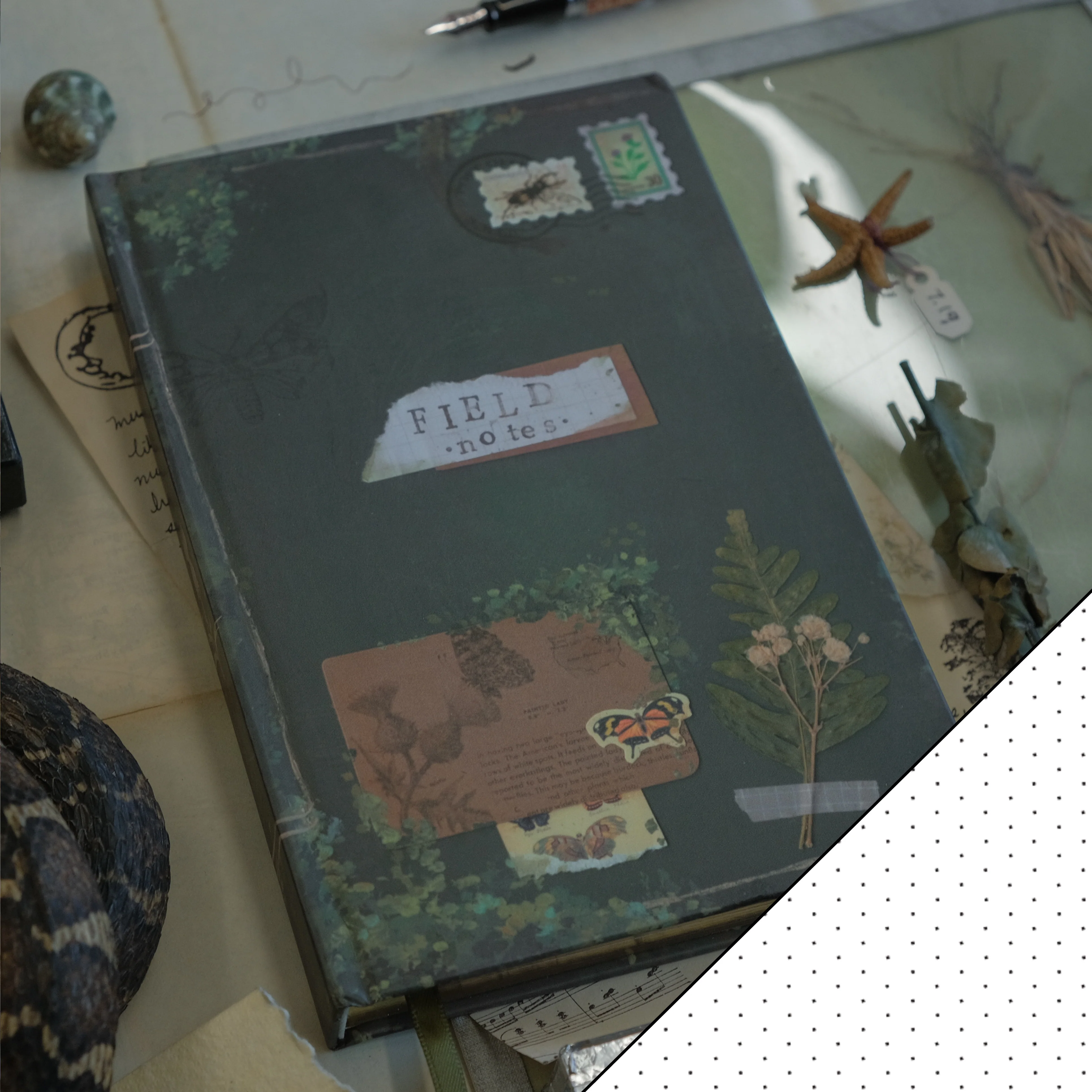 The Botanist's Journal // Field Notes - Image 11