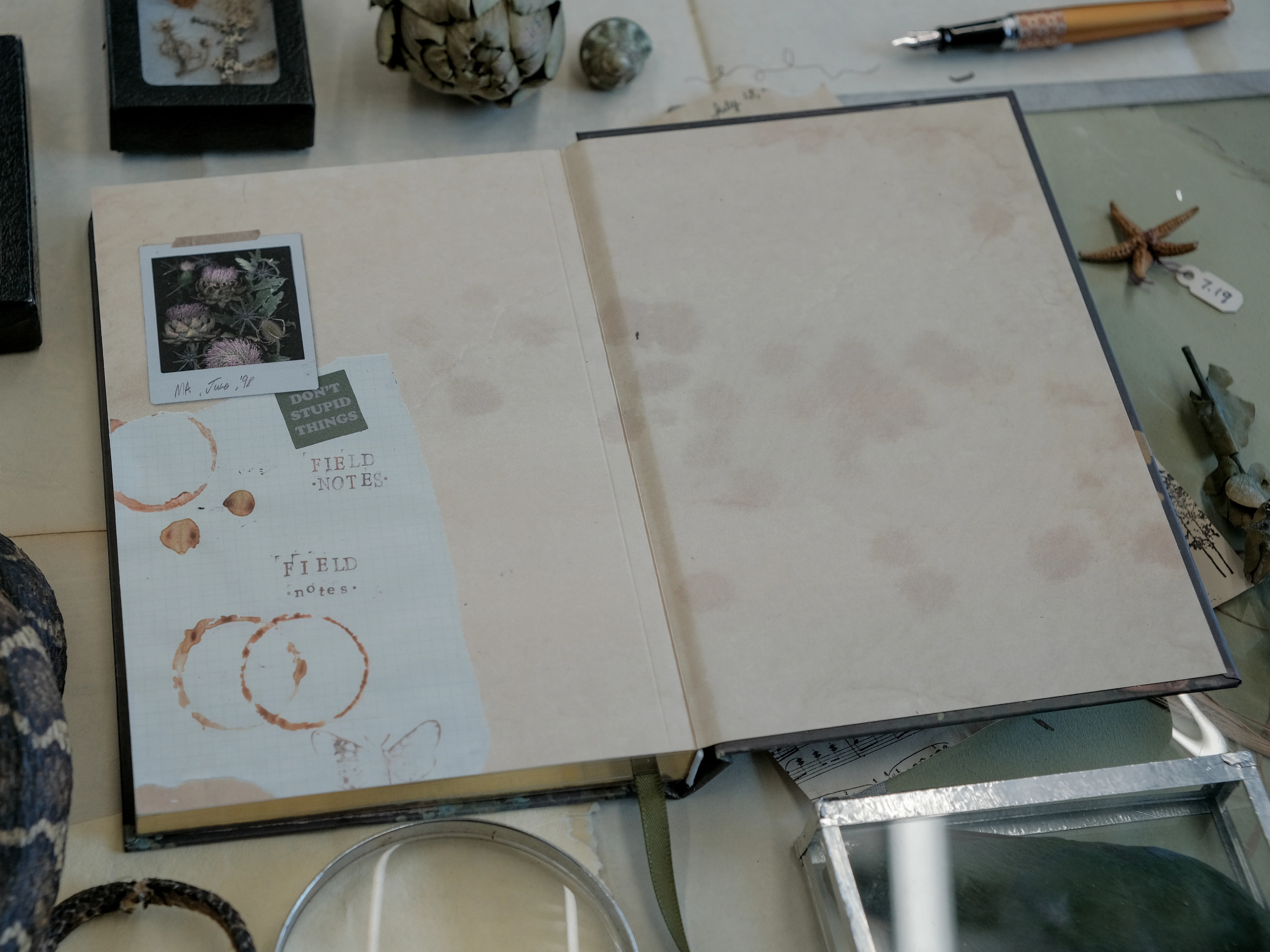 The Botanist's Journal // Field Notes - Image 3