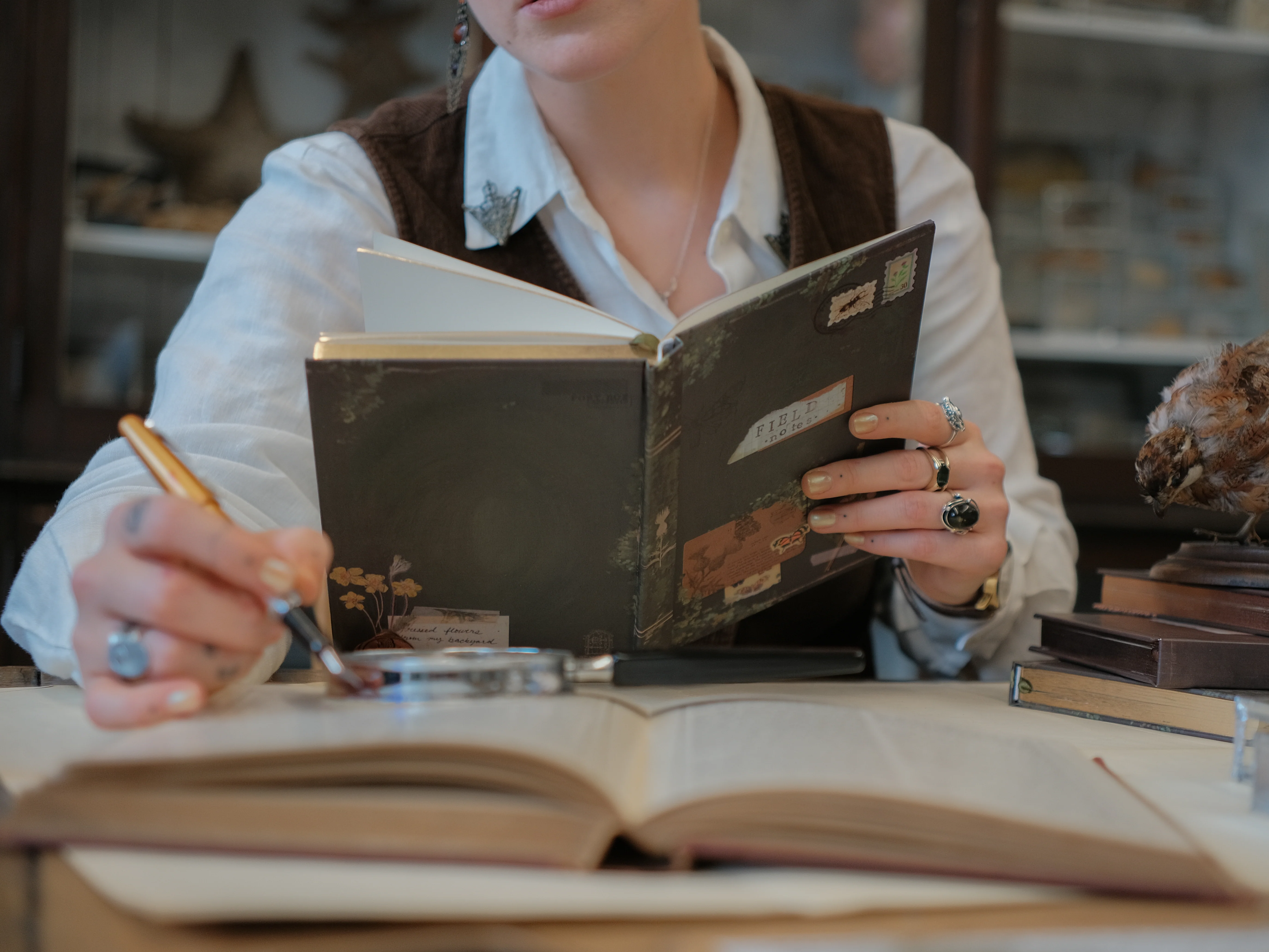 The Botanist's Journal // Field Notes - Image 4