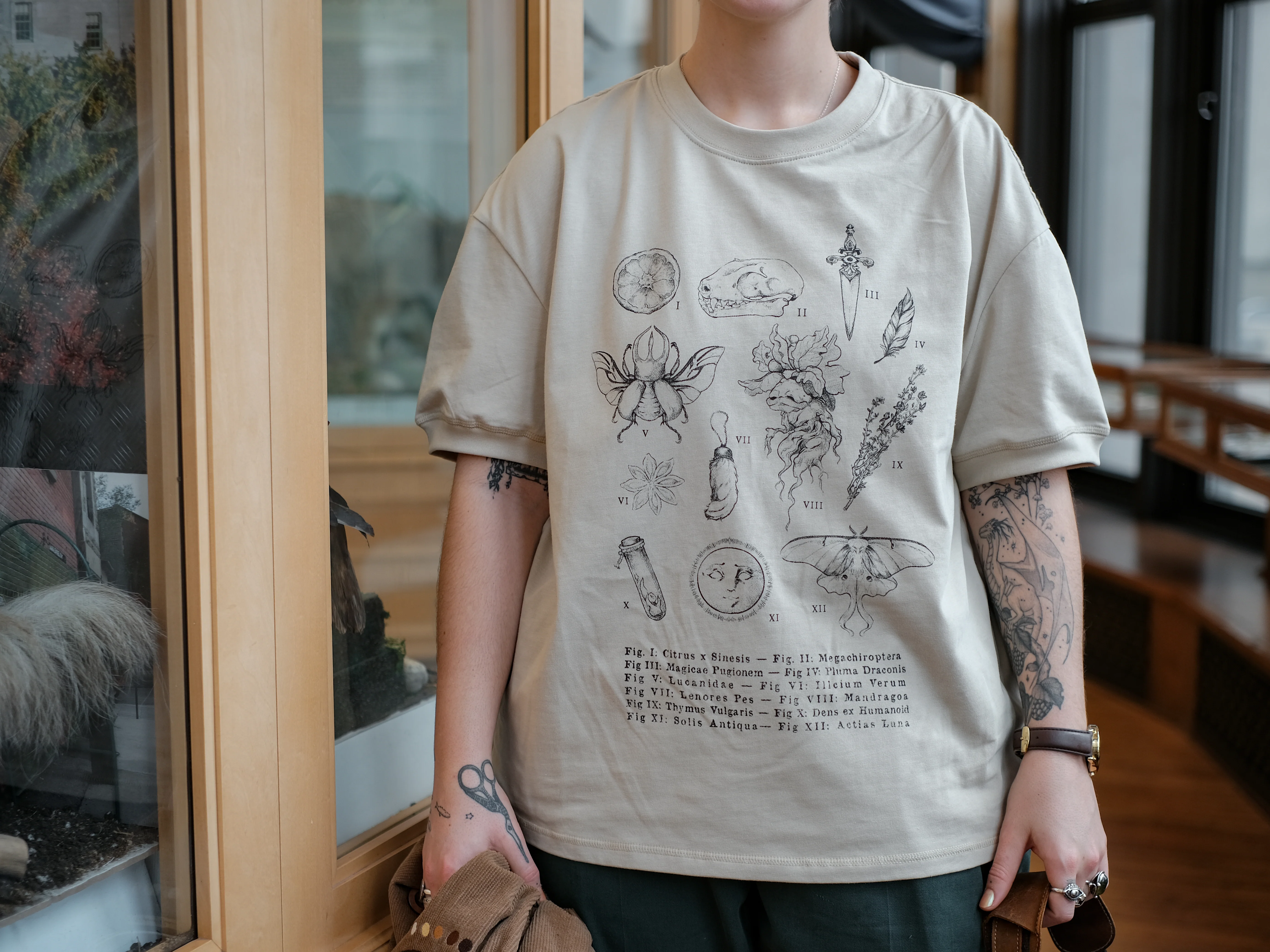 The Curio Cabinet Tee // Mid-Weight - Image 4