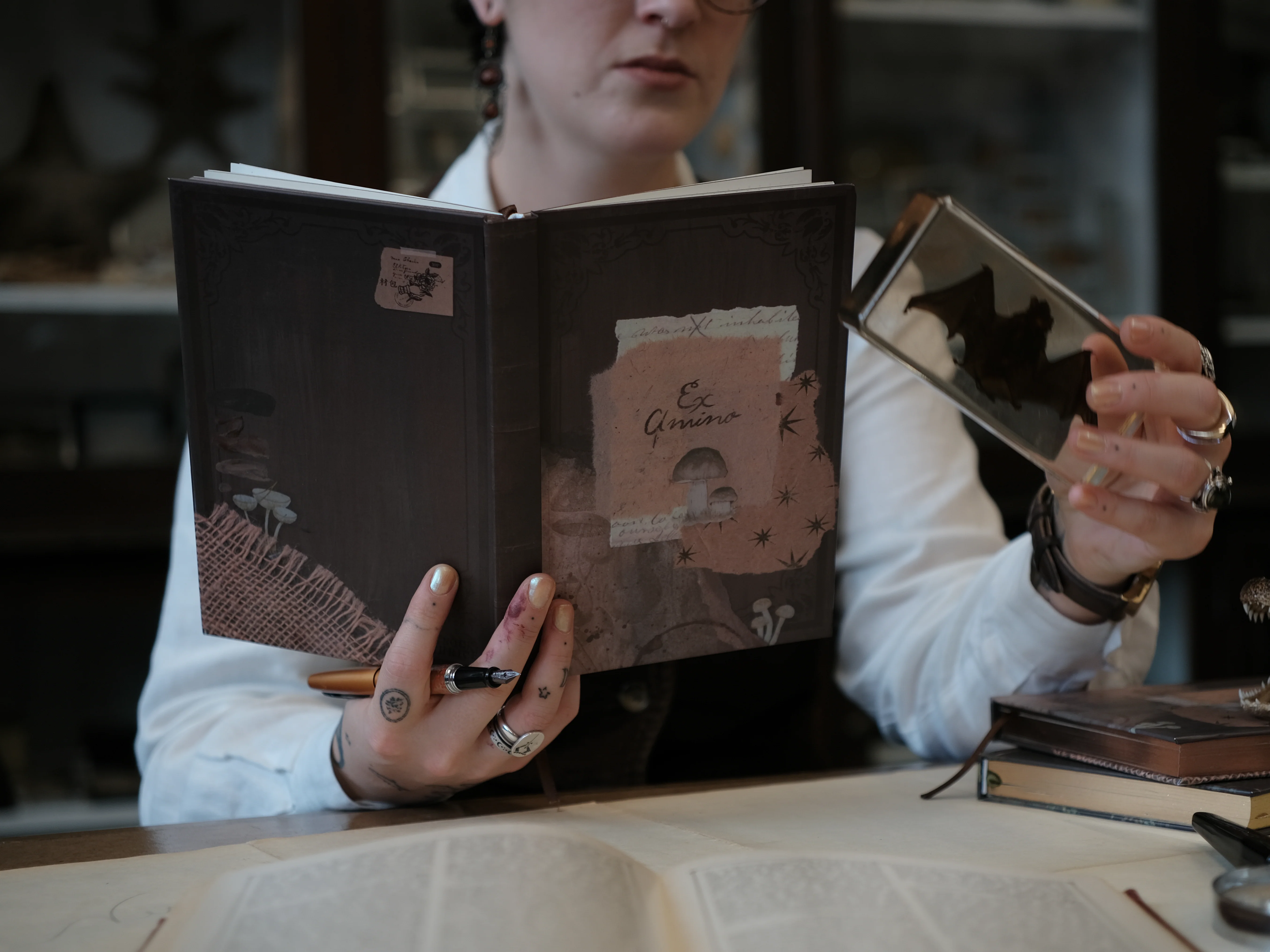 The Scholar's Journal // Ex Amino - Image 3